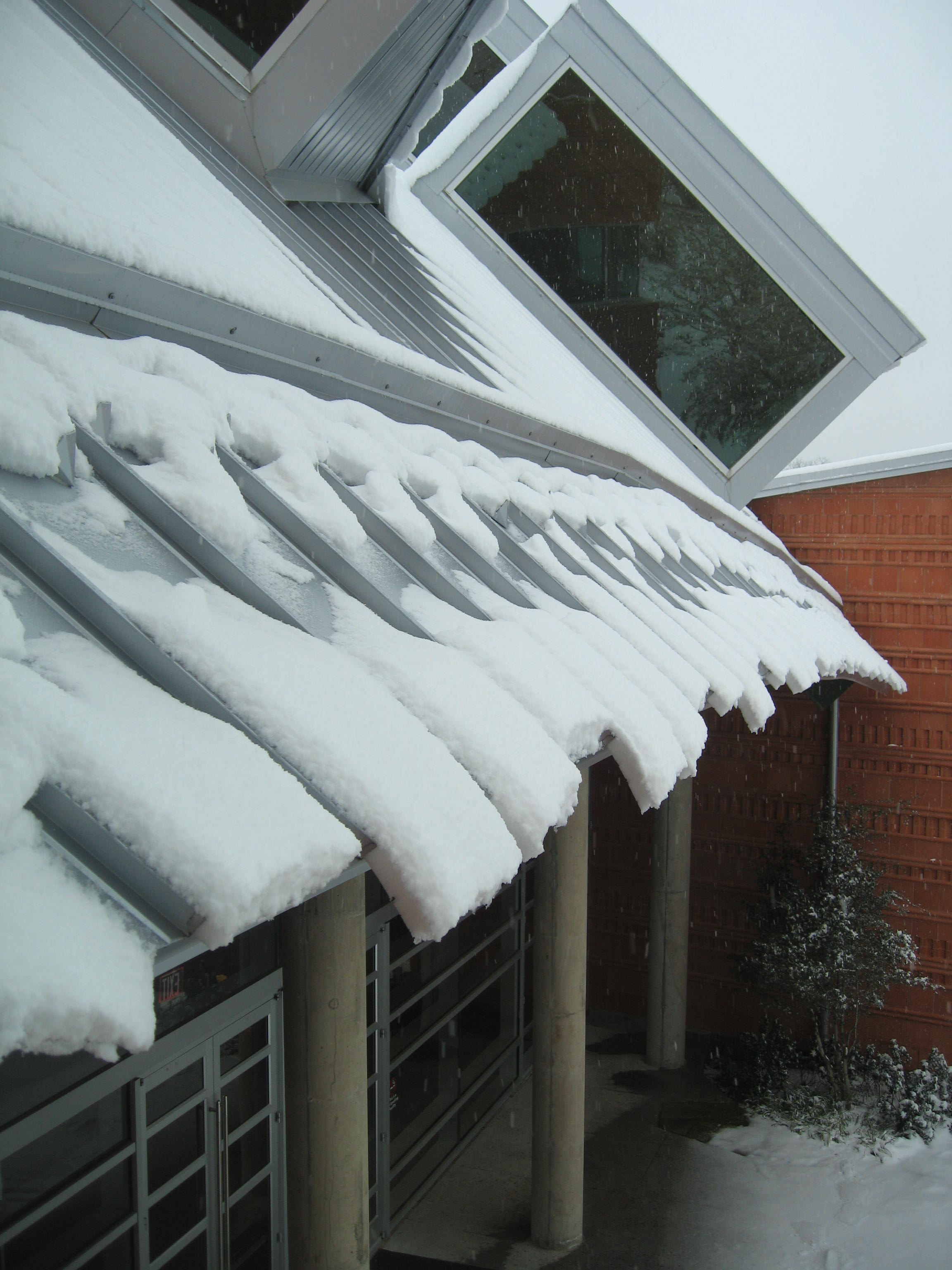 10.02.11 cedar hill snow scenes 013